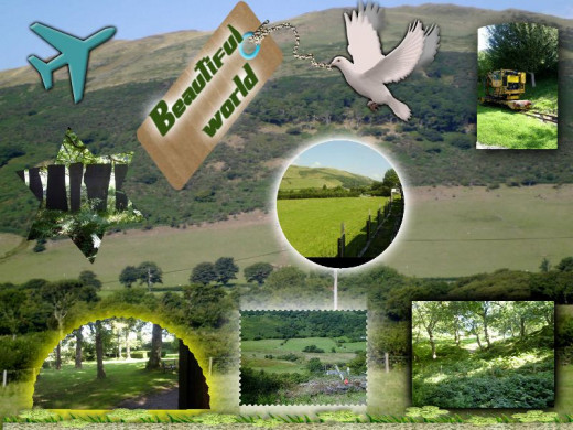 Amazing Welsh wonders.