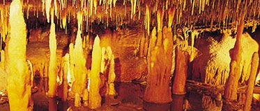 The Buchan Caves :- Limestone formations