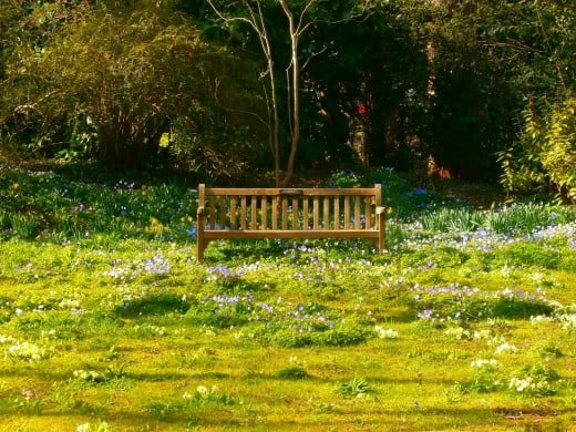 ...Idyllic place to relax. Photo by Flysky