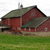 Southern-Style profile image