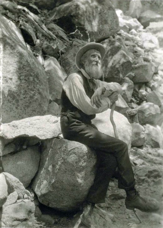 John Muir: leader of the preservation movement