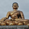 Tashidwangmo profile image