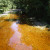 Tannins in the Oparara River Tannins in the Oparara River