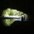 Out from the Shadows Out from the Shadows