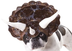 The dog hat.