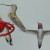 Female hummingbird (on feeder) has no color while male has color on throat. Female hummingbird (on feeder) has no color while male has color on throat.