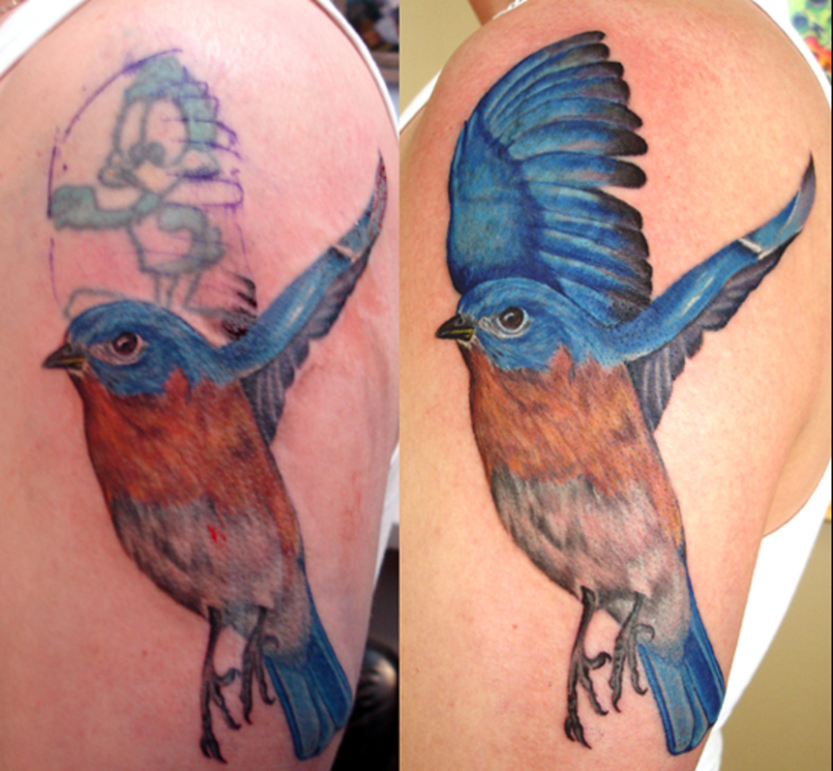The bird's wing in a dark shade of blue has covered the old tattoo completely.