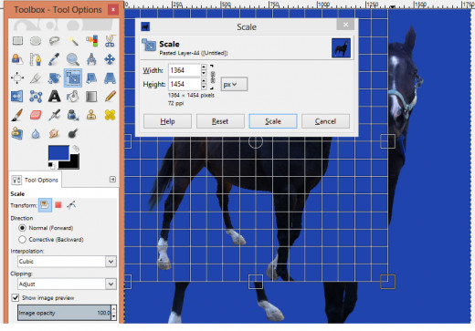 Scale Tool