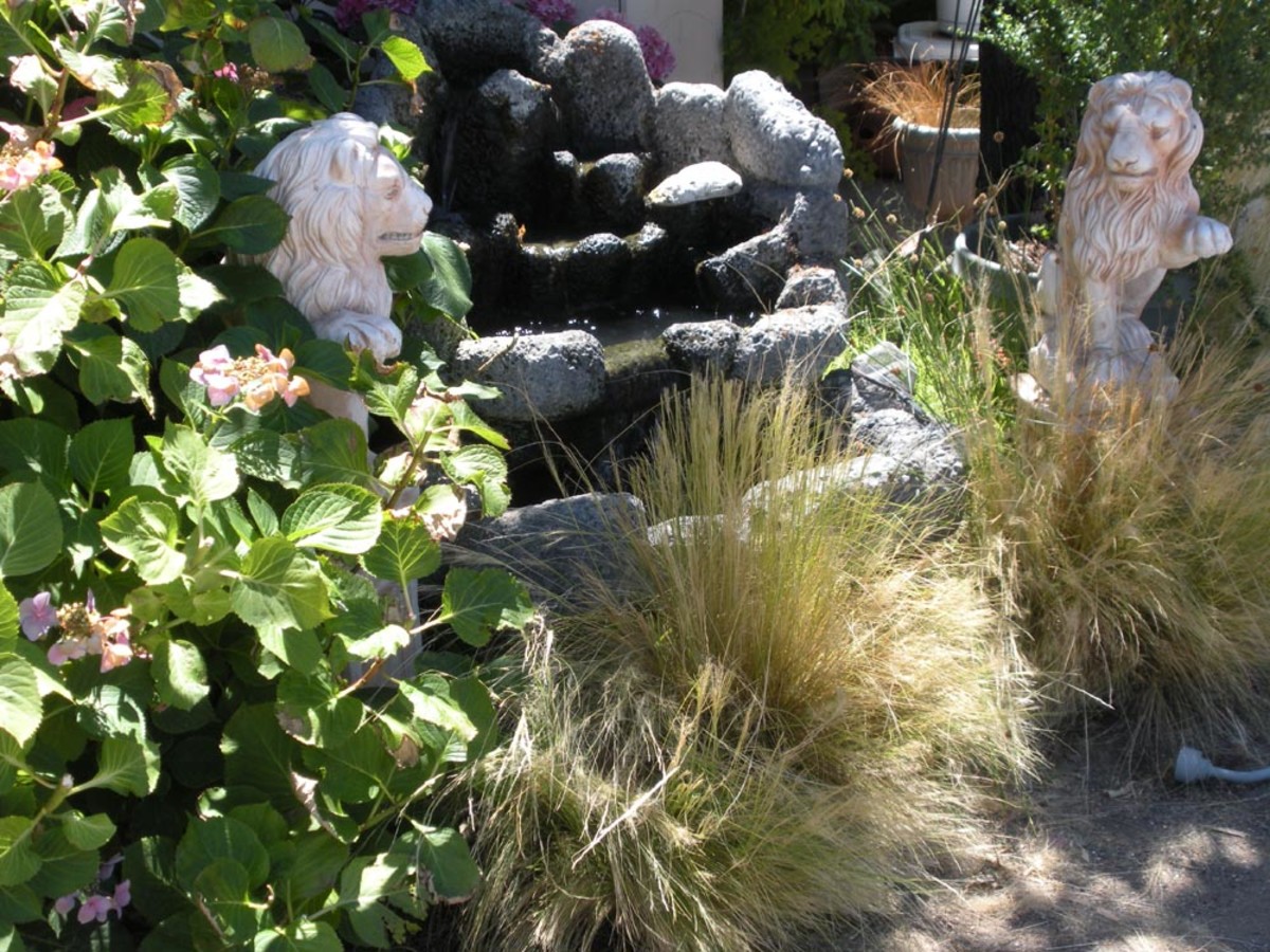 A small portion of my meditation garden is re-created in my yard