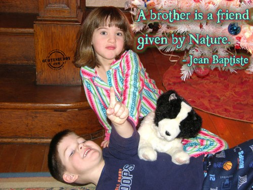 Brother and Sister Quotes and Sayings | WeHaveKids