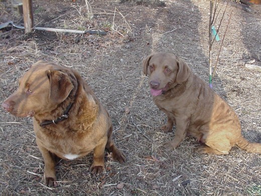 A couple of wonderful friends