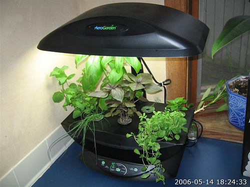 successful aerogarden