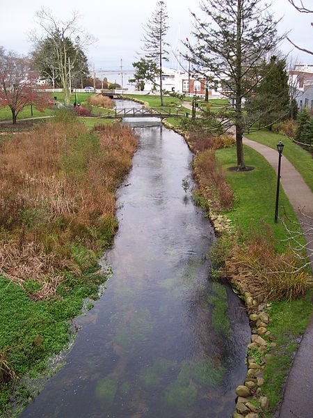 Th Town Brook and Brewster Gardens