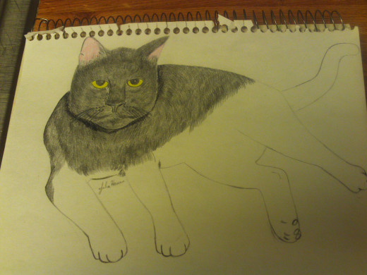 Sketching on more of the cat's fur.