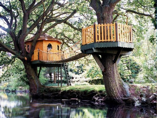 Got lots of woods? Build a tree house for your kids. Don't feed the termites.