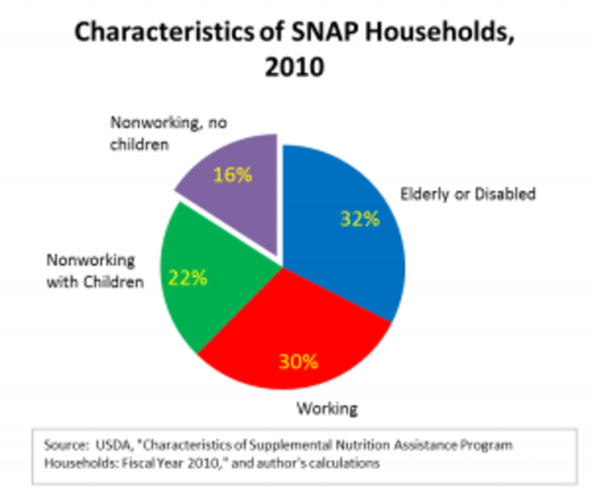 A graphic illustration of who SNAP recipients are.