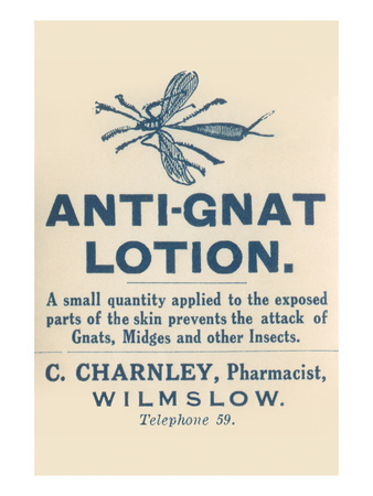 Gnats have been around forever!