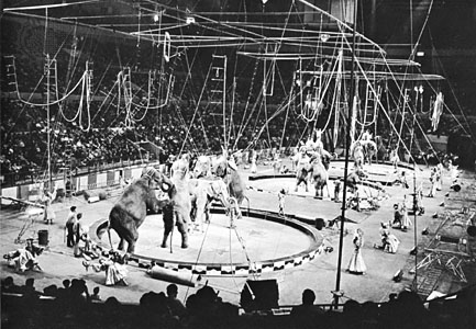 This appears to be the circus I saw when I was 6 or 10. Tiny isn't it? But then, so was I. Click to enlarge.