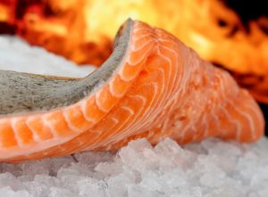 salmon recipe