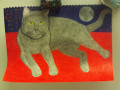 Drawing of A Cat With The Moon And The Stars As A Backdrop.