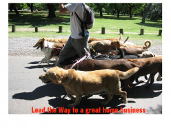 How to be Successful in the Pet Sitting Home Business