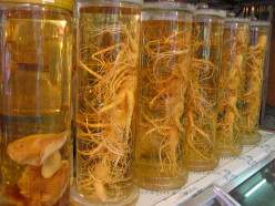 Ginseng - The Uses and Benefits of Ginseng