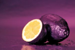 Purple Lemon