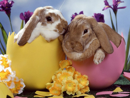 Easter 