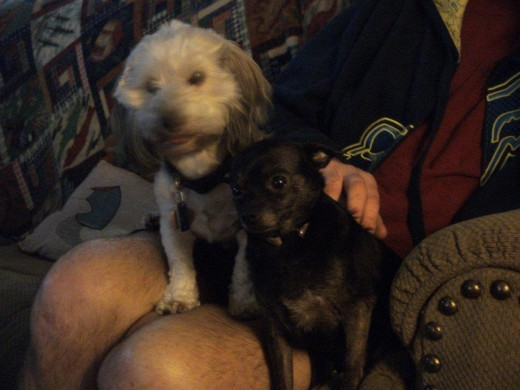 This is me-Goober and my doggie brother, Chico