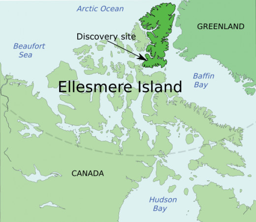 Ellesmere Island fossil sites; the arc across the center of the image represents the Arctic Circle.  "Tiktaalik" is a 370-million year old lobe-fin, adapted to "oxygen-poor shallow-water habitats."  Image courtesy Wikimedia Commons.