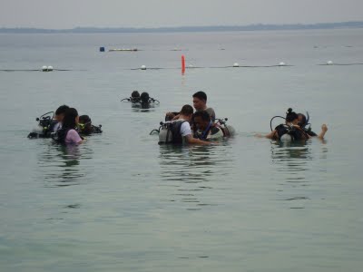 our first sea water diving experience