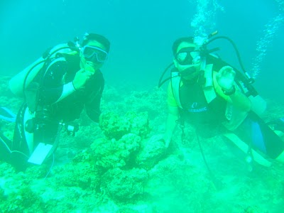 my diving buddy