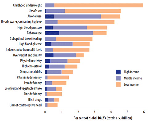 Figure: Global percentages of DALYs1 attributed to 19 leading risk factors by income group.   Source: Global Health Risks (2009)