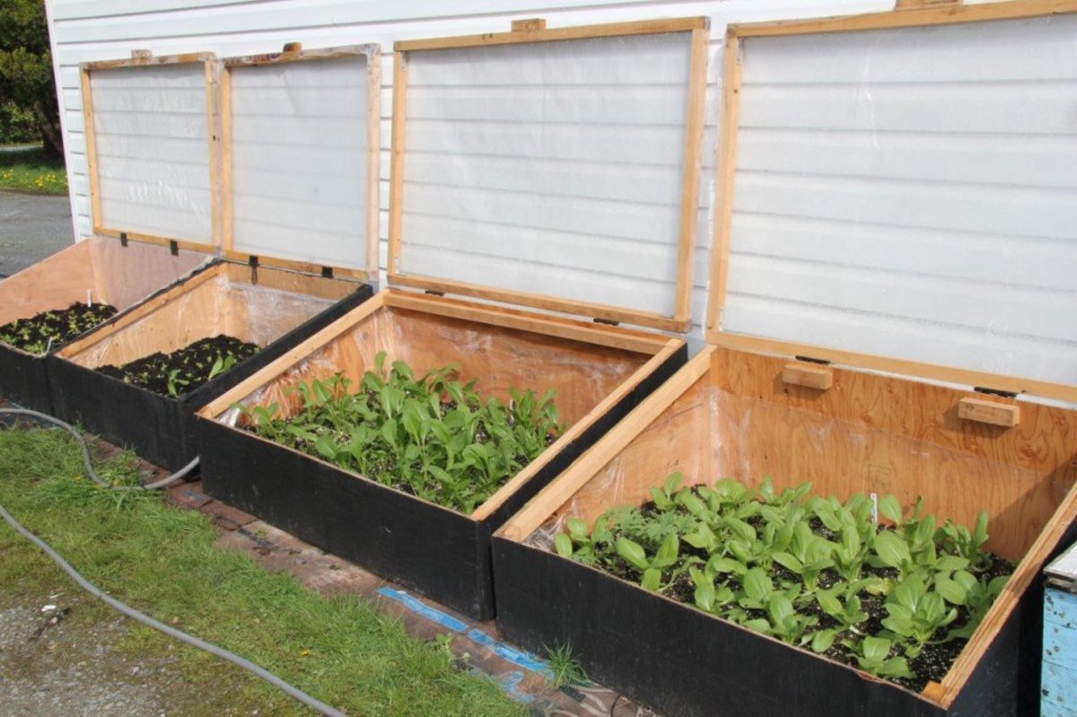 How to Build Cold Frames for Your Garden Dengarden