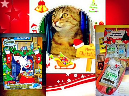 Tabatha with her Advent Calendar and Christmas Stocking.
