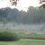 Morning mist off a country road. Morning mist off a country road.