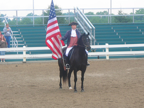 A Morgan horse with rider in colonial attire at the Kentucky Horse Park. Costuming intended to resemble Justin Morgan and Figure.