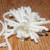 trim the ends to all one length trim the ends to all one length