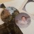Next, cut out the photo. Next, cut out the photo.