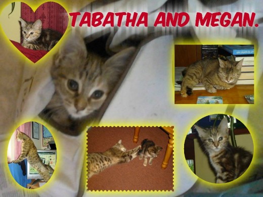 Tabatha and Megan.