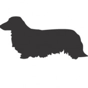 Helen Machinski profile image