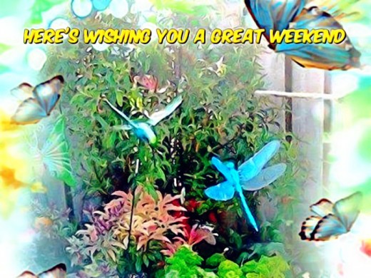 Erin and Val's Garden.