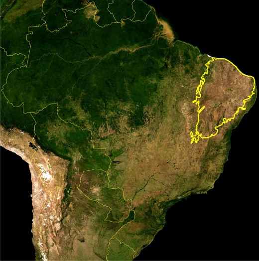 Caatinga Region of Brazil