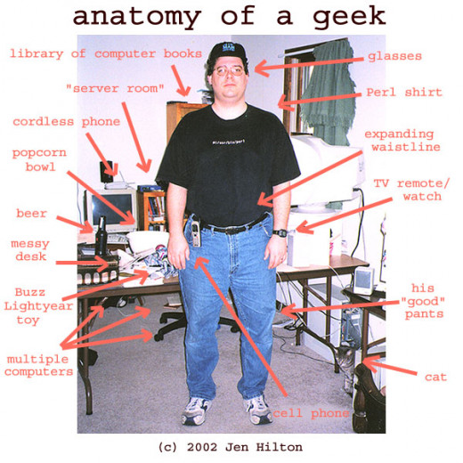 Anatomy of a Geek Source: http://petershinwannabe.blogspot.com/2013/02/is-this-heaven-no-its-silicon-valley-my.html