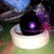 Put a small dot of hot glue onto bulb Put a small dot of hot glue onto bulb
