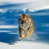 Gary Guion profile image