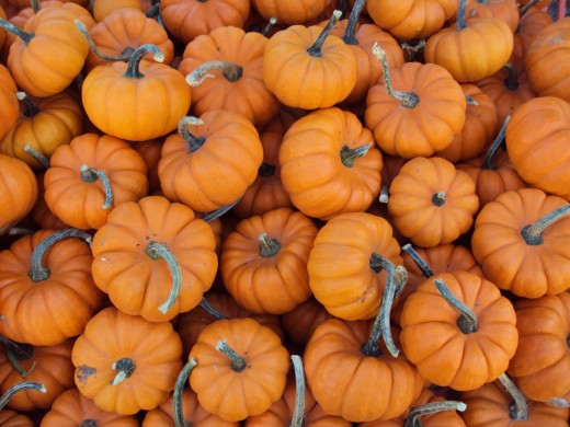 If only there were pumpkins year-round!