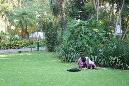 The lawns are for lovers too!