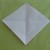 Now you should have a vertical crease line and a horizontal crease line intersecting each other. Now you should have a vertical crease line and a horizontal crease line intersecting each other.