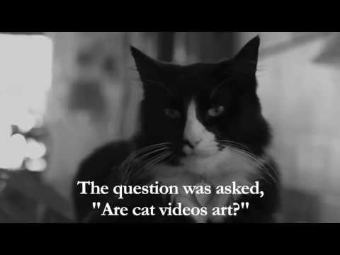 Henri, the feline philosopher, asks some very though provoking questions.